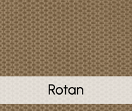 Rotan